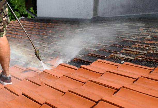 Best Pressure Washing Company Near Me  in Whitney, SC
